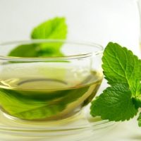 AROMA MENTA