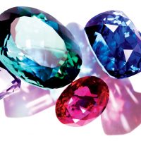 GEM - NEUTRO